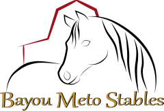 Bayou Meto Stables